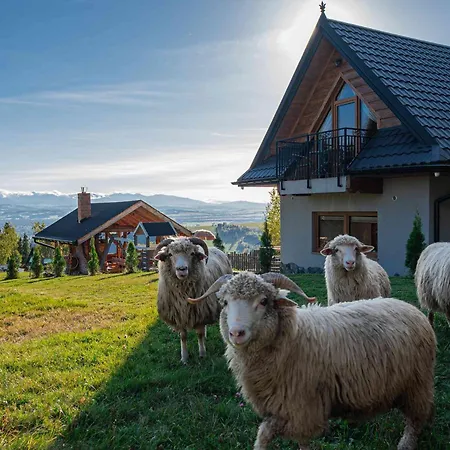 Lesne Zacisze * Nowy Targ