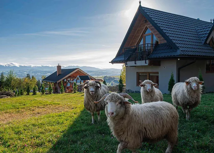 Lesne Zacisze * Nowy Targ